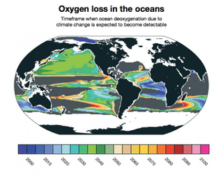 Map showing when the signal for deoxygenation due to global warming becomes visible in the ocean, with blues indicating areas where a signal is already being seen. Gray regions show no predicted oxygen loss by the end of the century. Image: Matthew Long